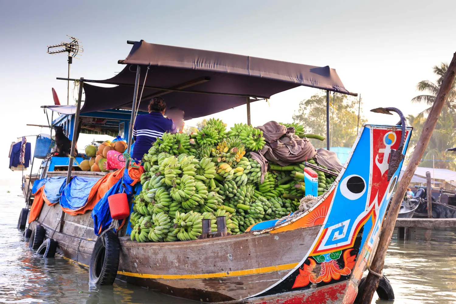Experiencing the Heart of Mekong Delta: Cost-Effective Travel Options