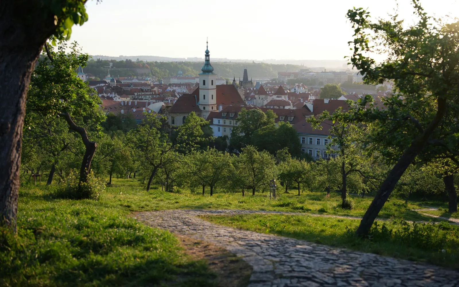 contrasting busy versus tranquil trails in the scenic czech countryside