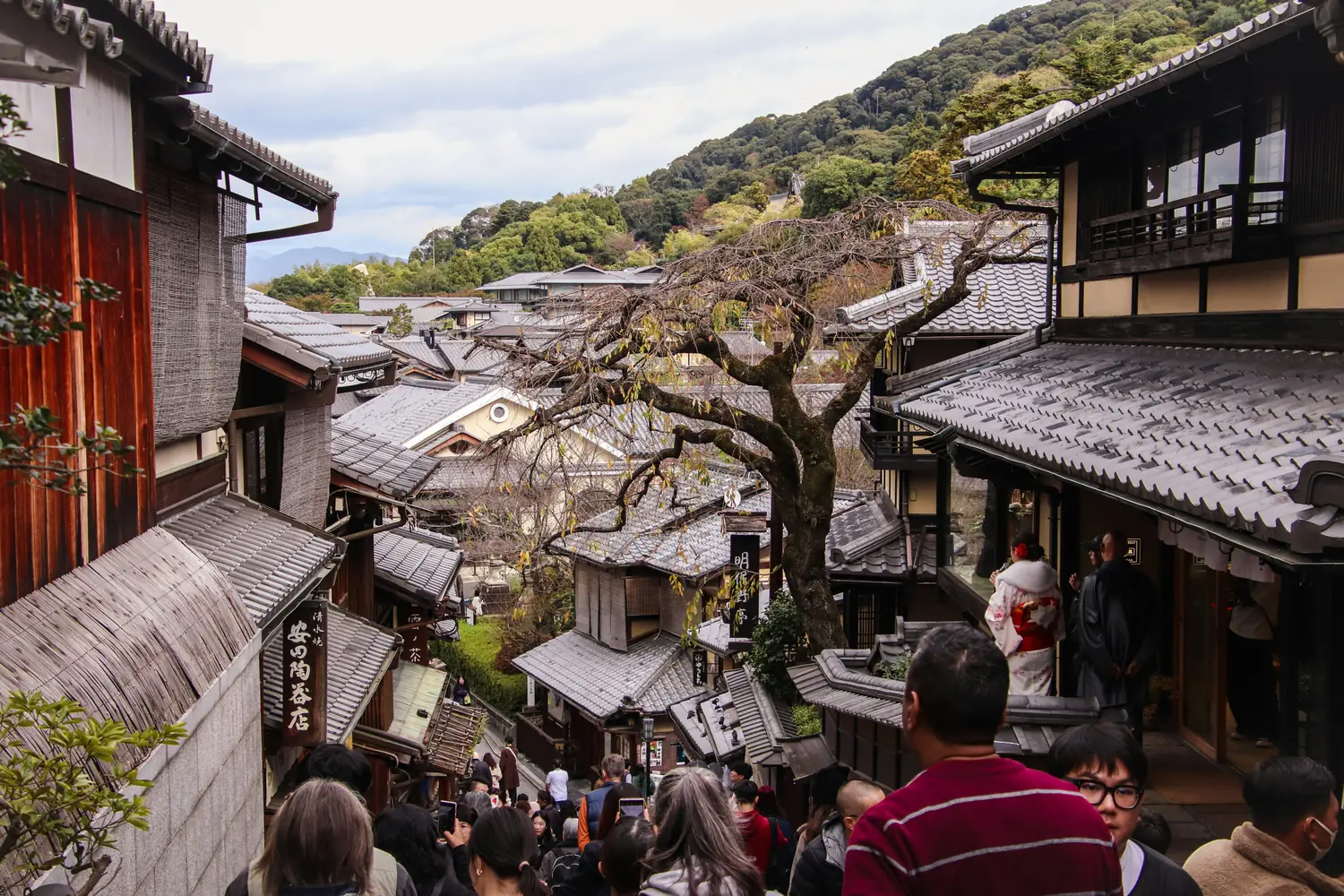 Experience Authentic Japanese Traditions Over a Seven-Day Village Tour