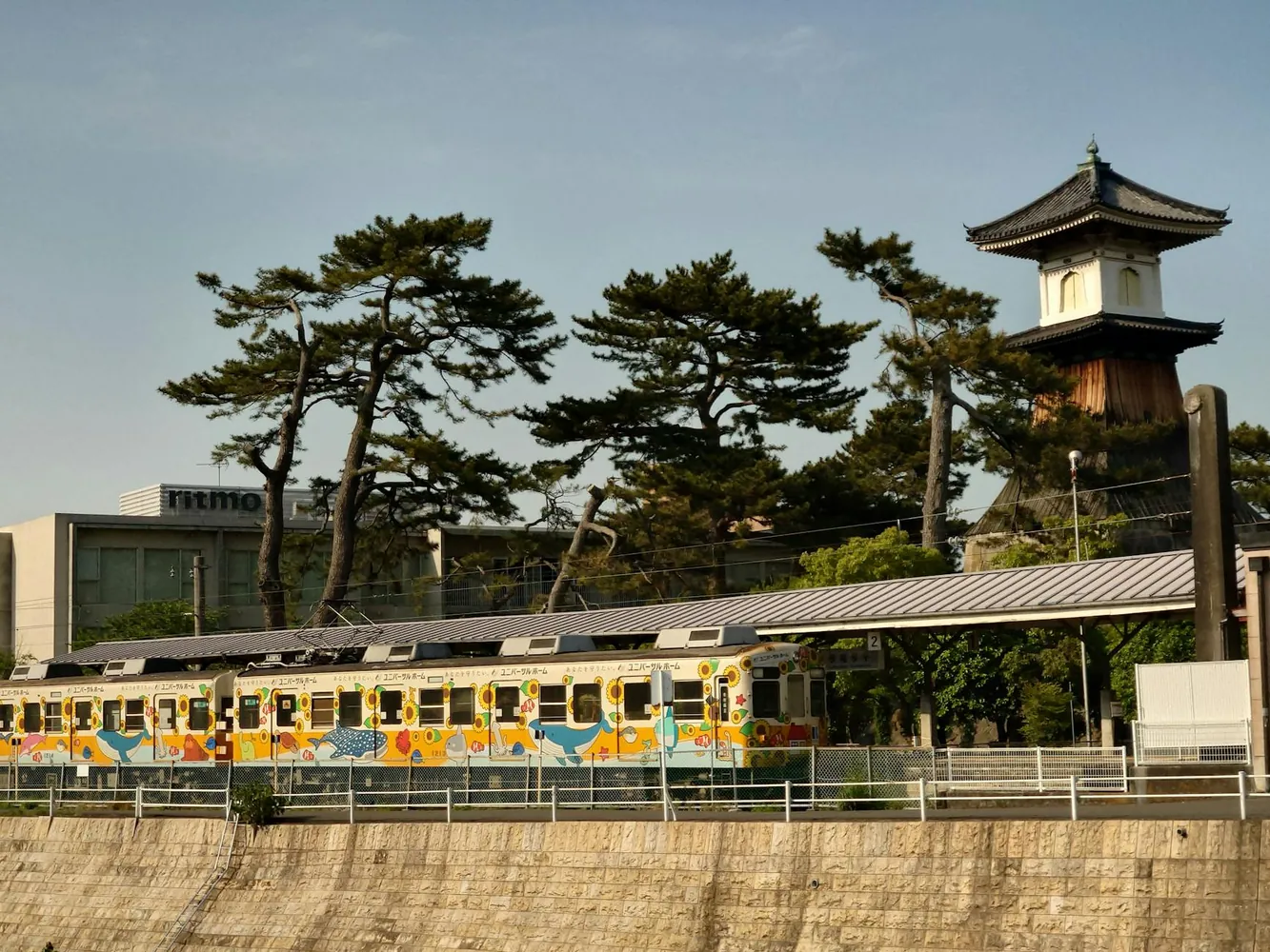 How to Choose the Right Rail Pass for Travel in Japan